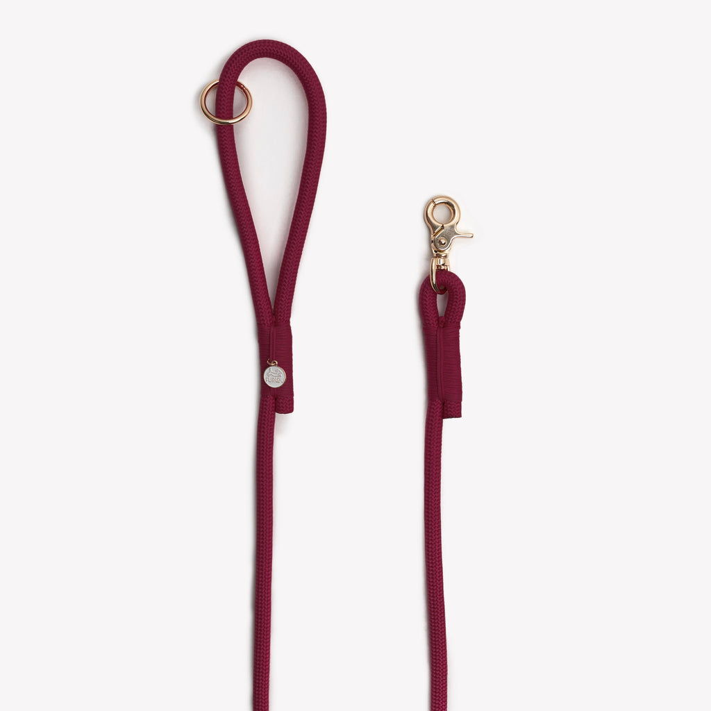 Bordeaux Braided Rope Dog Leash