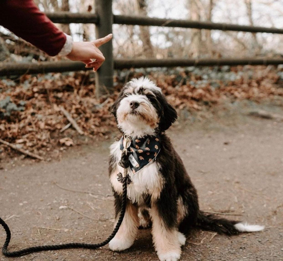 ROPE LEASH - OMBRE BLACK