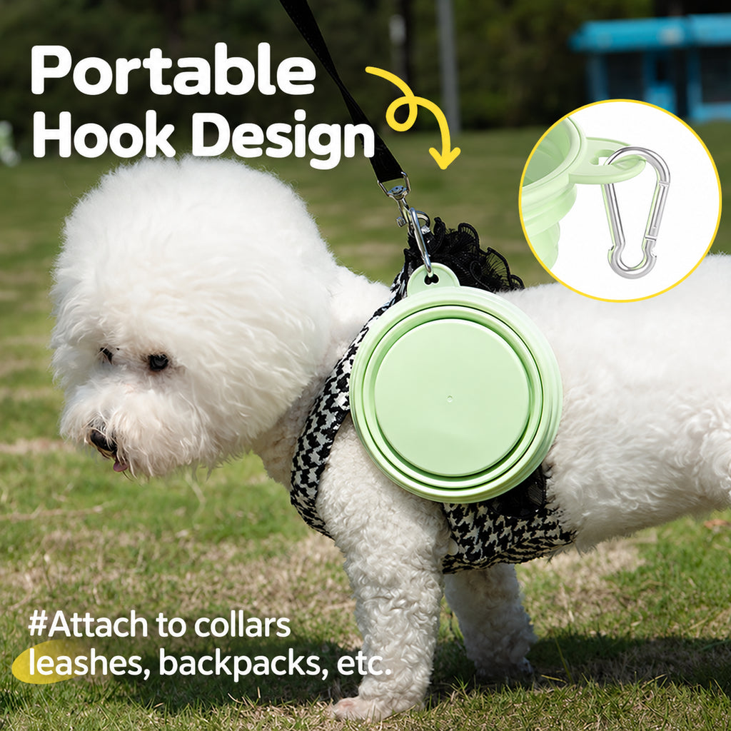 Everyday Outside Collapsible Silicone Dog Bowl