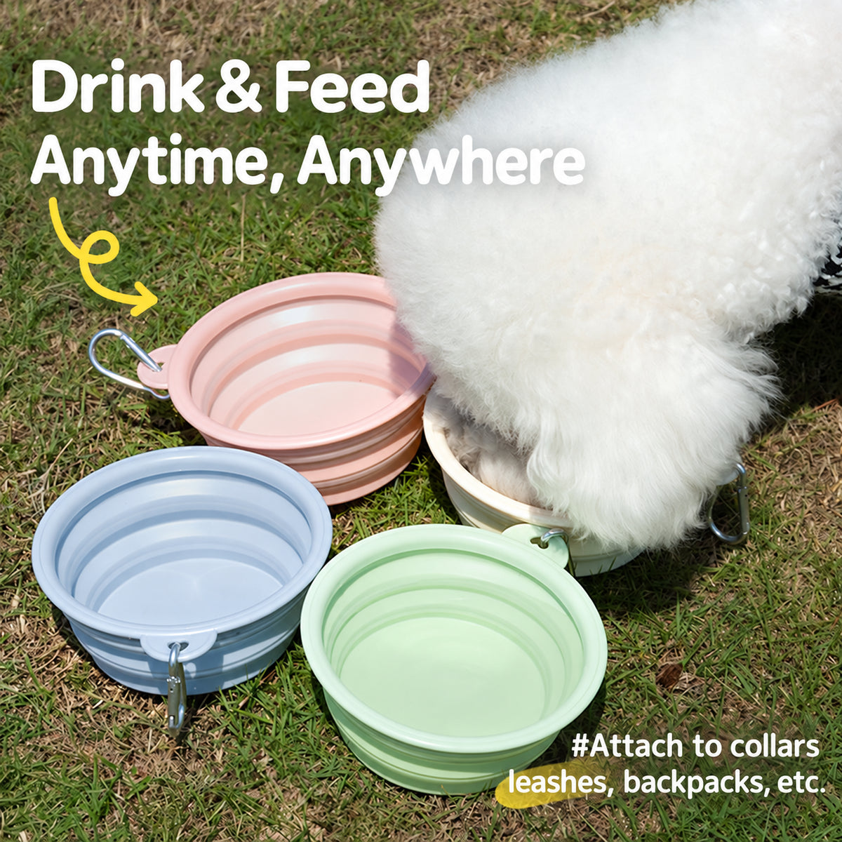 Everyday Outside Collapsible Silicone Dog Bowl