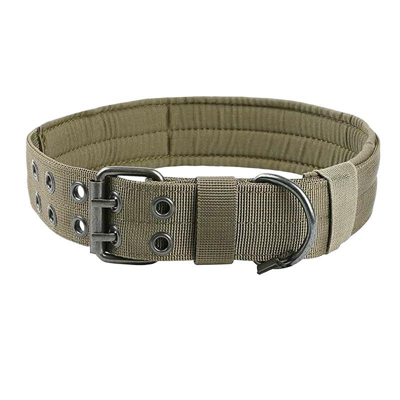 Everyday Adventure Dog Collar & Bungee Leash