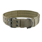Everyday Adventure Dog Collar & Bungee Leash
