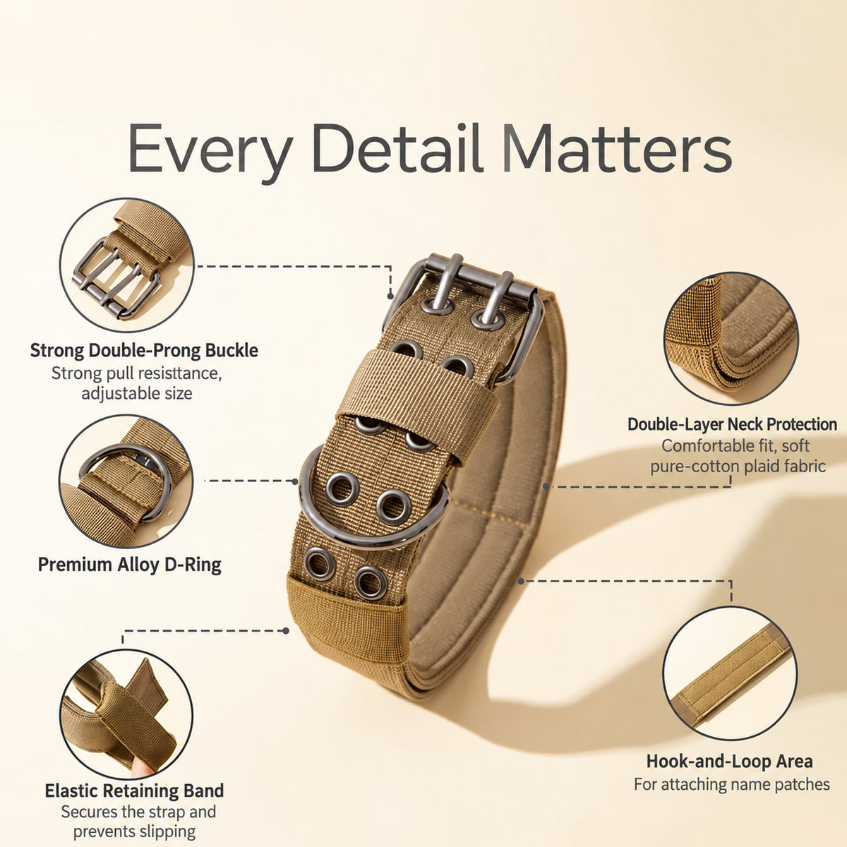 Everyday Adventure Dog Collar & Bungee Leash