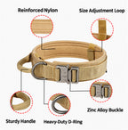 Everyday Adventure Dog Collar & Bungee Leash