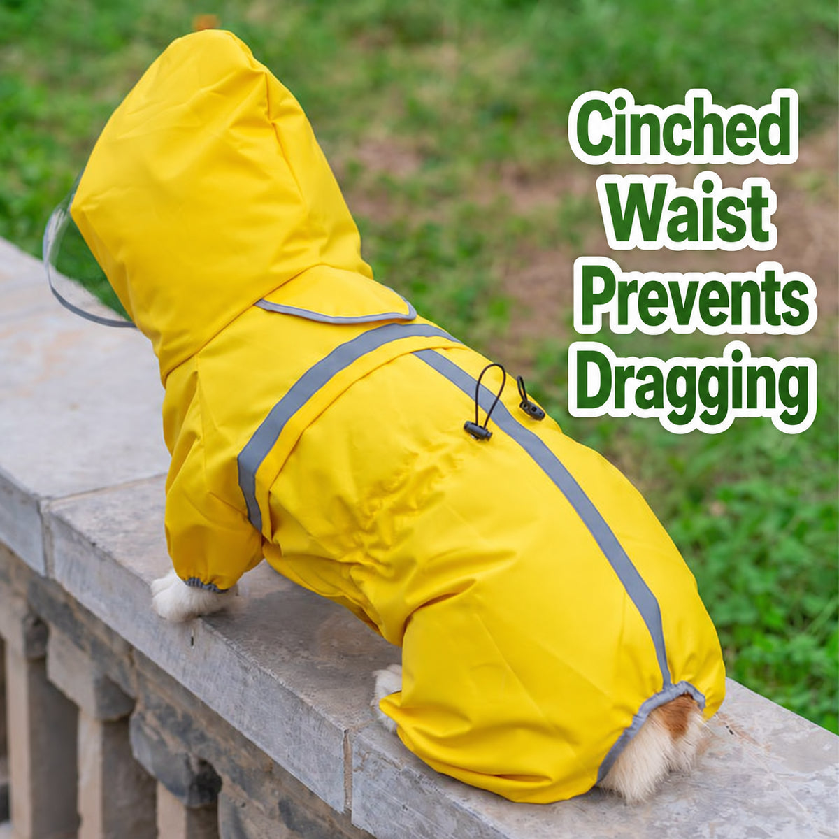Rainy Day Full-Coverage Dog Raincoat