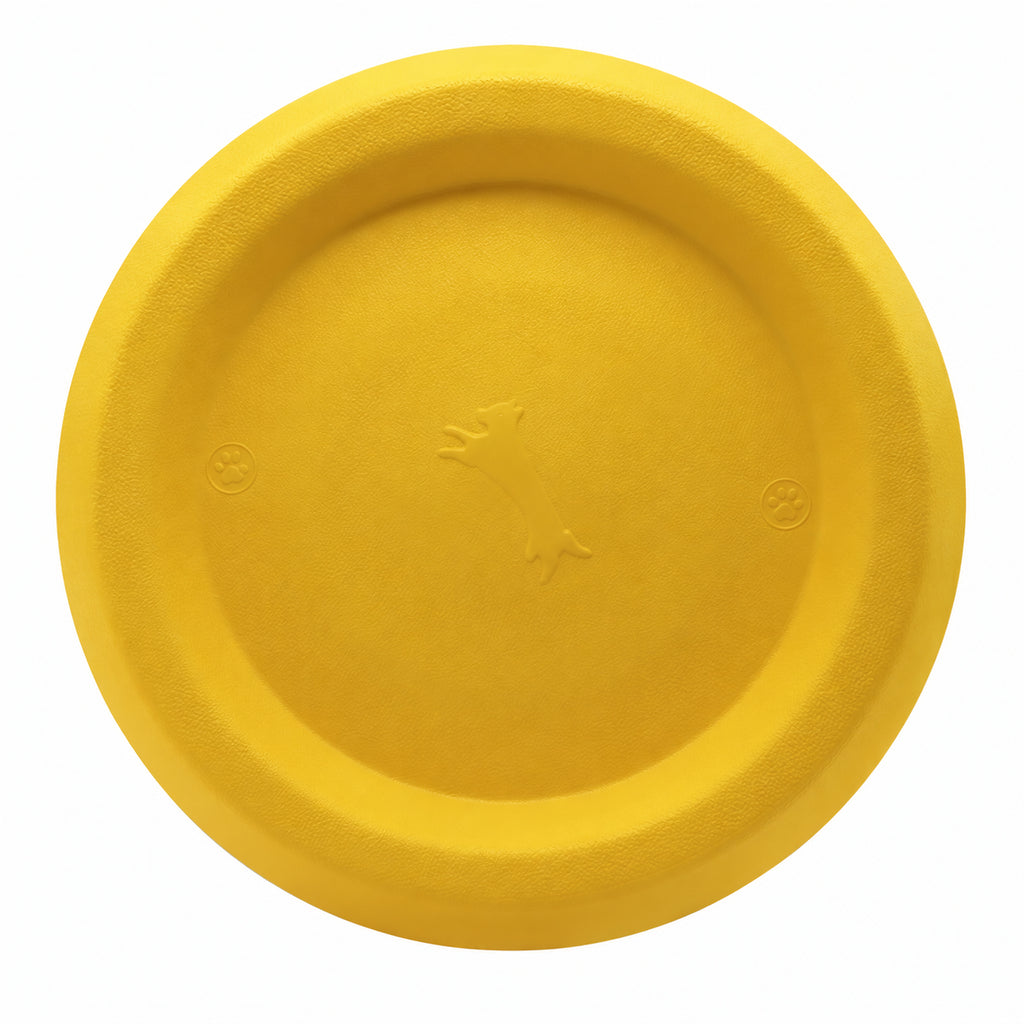 Everyday Fetch Dog Flying Disc