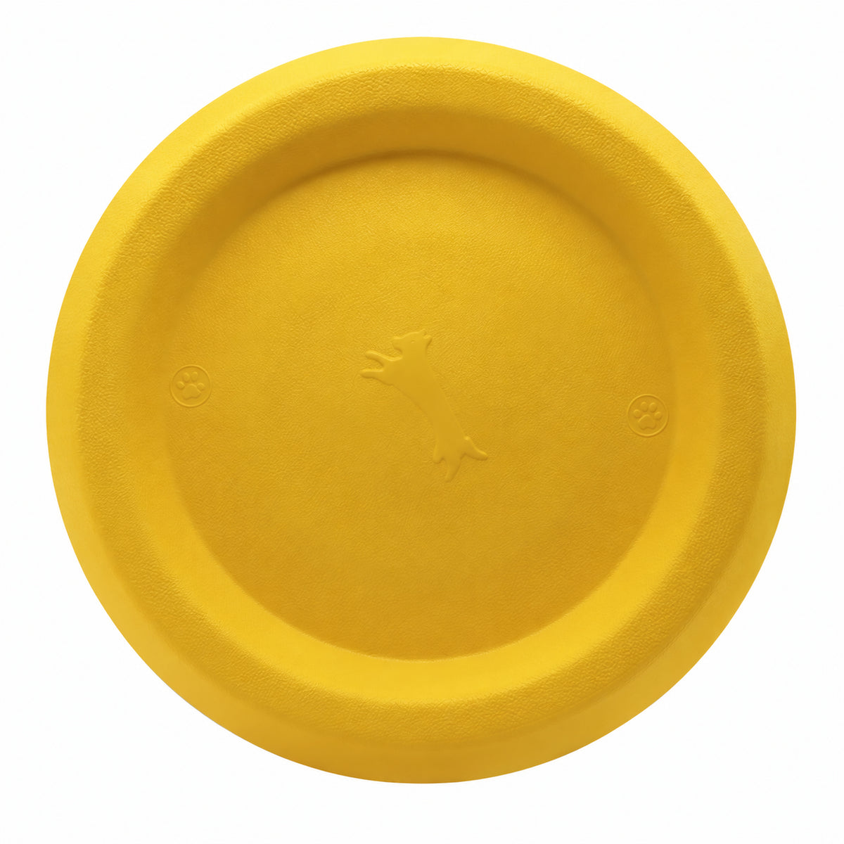 Everyday Fetch Dog Flying Disc