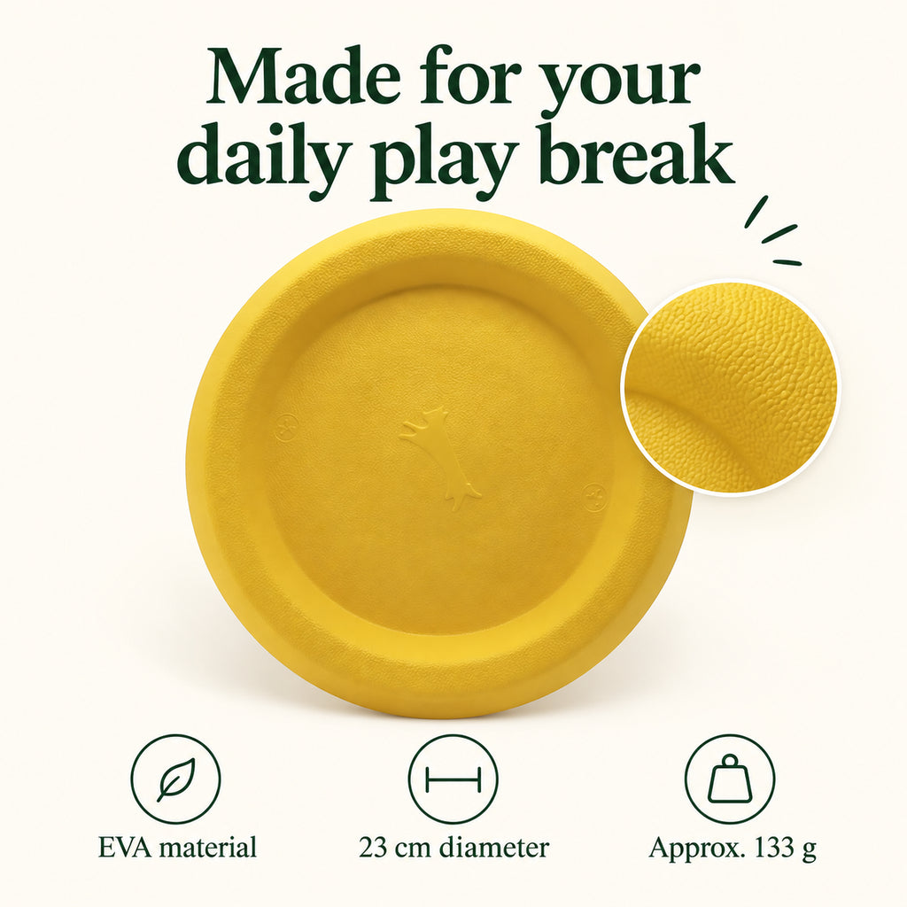 Everyday Fetch Dog Flying Disc