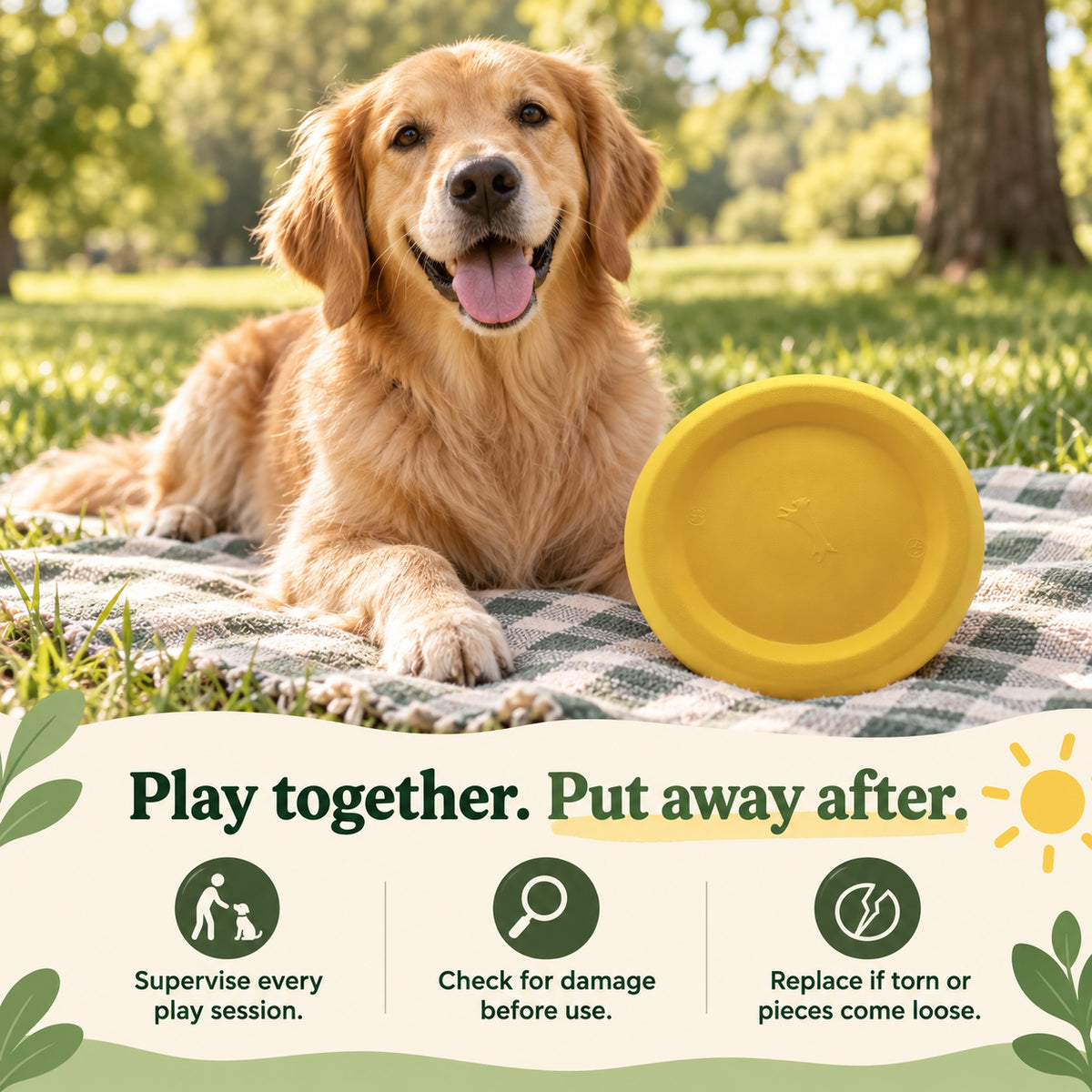 Everyday Fetch Dog Flying Disc