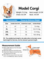 Rainy Day Full-Coverage Dog Raincoat