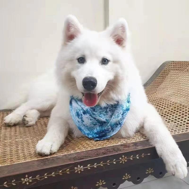 BANDANA - OCEAN BLUE