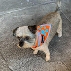 Reflective Dog Bandana Hi-Vis S Size 10 in Neck Orange