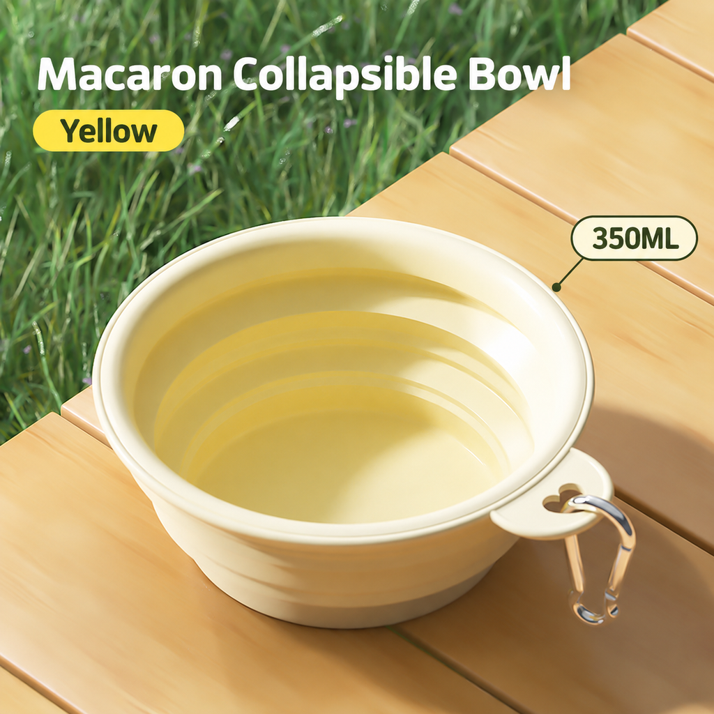 Everyday Outside Collapsible Silicone Dog Bowl