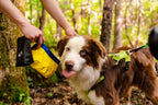 Gallatin Packable Dog Bowl