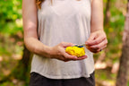 Gallatin Packable Dog Bowl