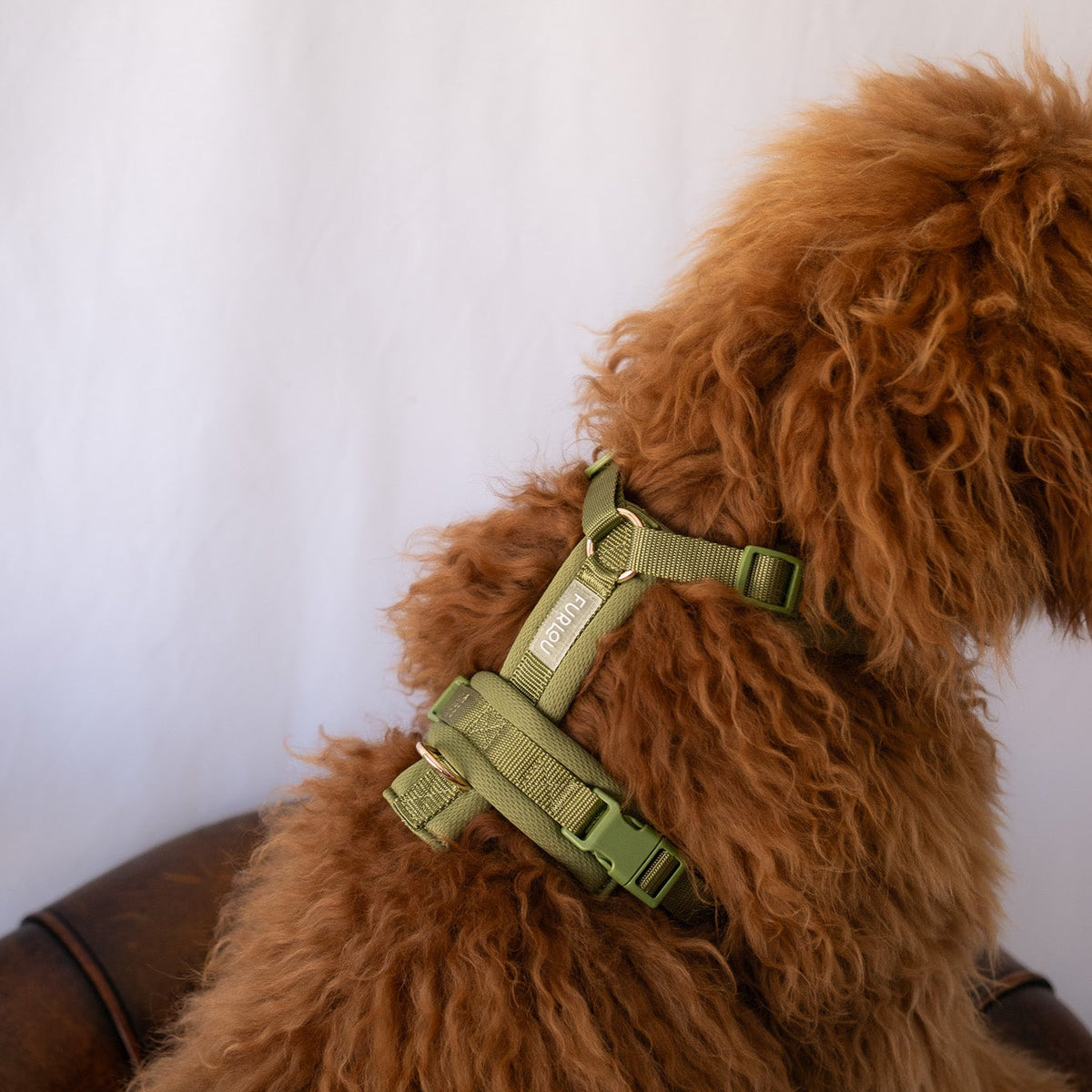 Trail-Fit Comfort Dog Harness