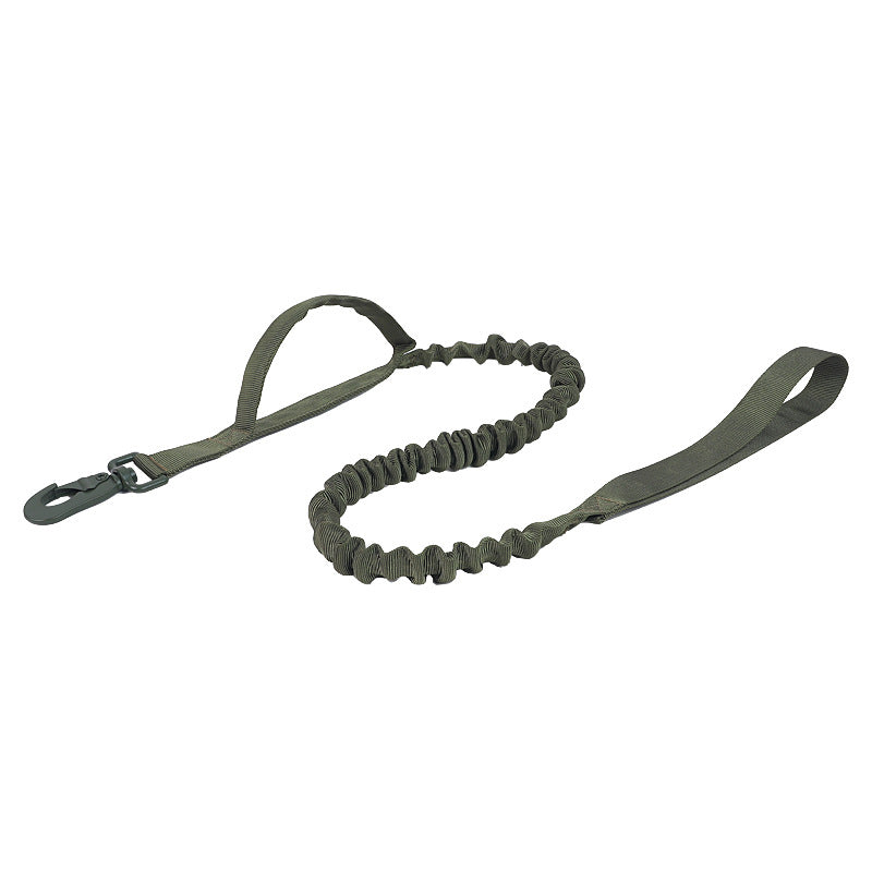 Everyday Adventure Dog Collar & Bungee Leash