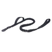Bungee leash