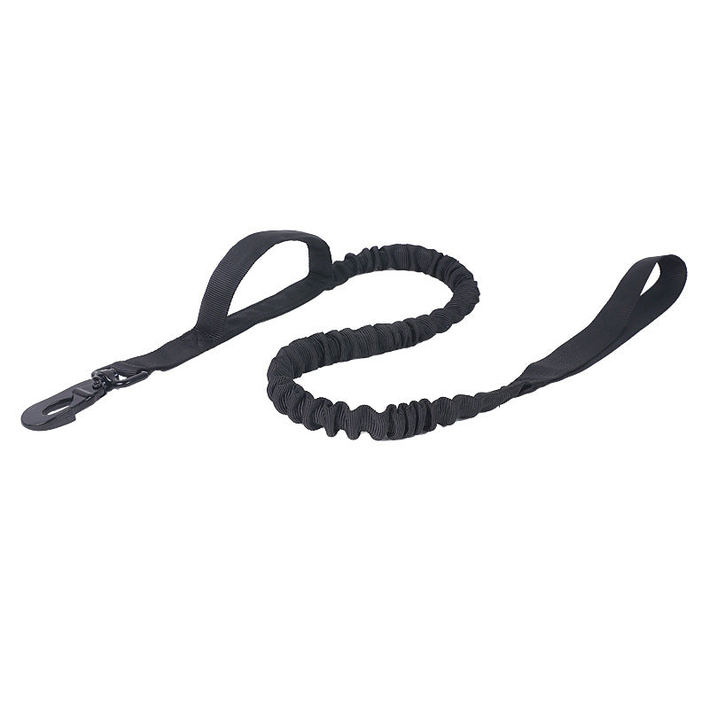 Everyday Adventure Dog Collar & Bungee Leash