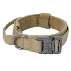 Everyday Adventure Dog Collar & Bungee Leash