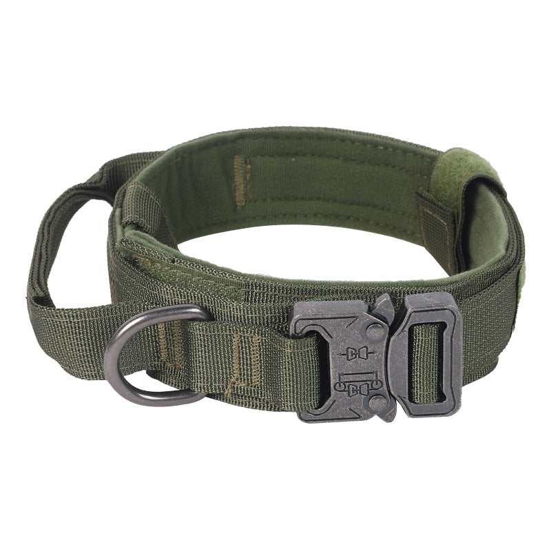 Everyday Adventure Dog Collar & Bungee Leash