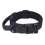 Everyday Adventure Dog Collar & Bungee Leash