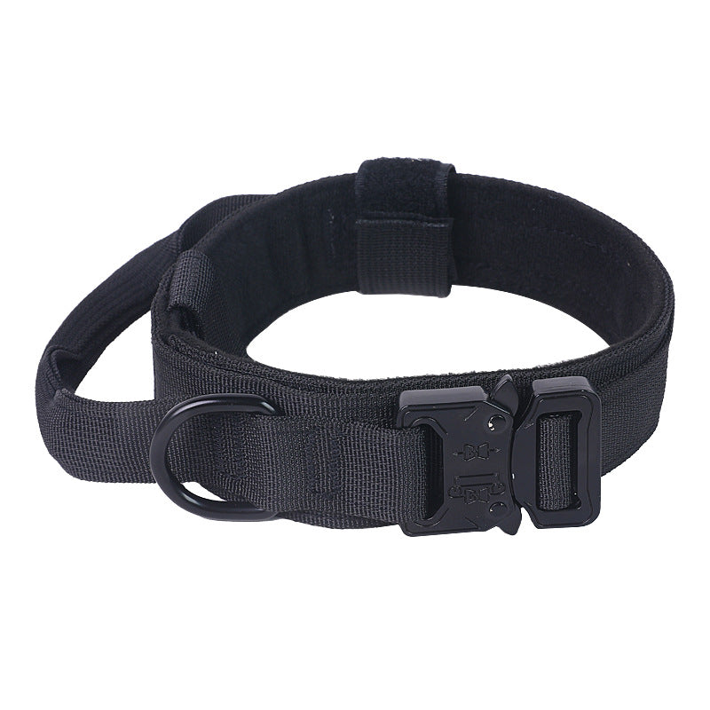 Everyday Adventure Dog Collar & Bungee Leash