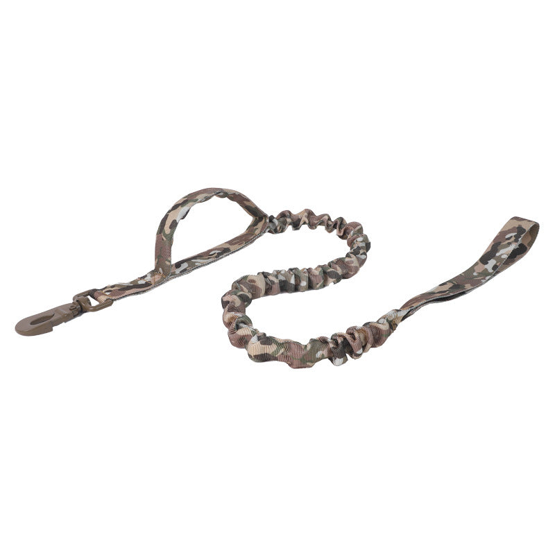 Everyday Adventure Dog Collar & Bungee Leash