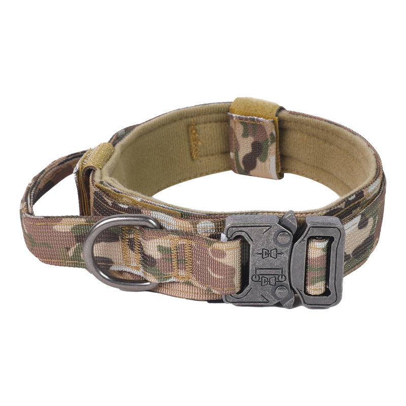 Everyday Adventure Dog Collar & Bungee Leash