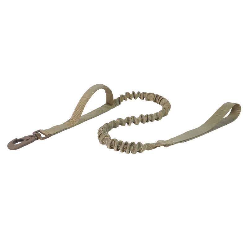 Everyday Adventure Dog Collar & Bungee Leash