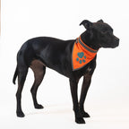 Reflective Dog Bandana Hi-Vis S Size 10 in Neck Orange