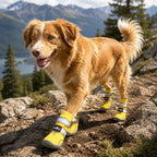 Dog Helios 'Traverse' Premium Grip High-Ankle Outdoor Dog Boots - Set Of 4