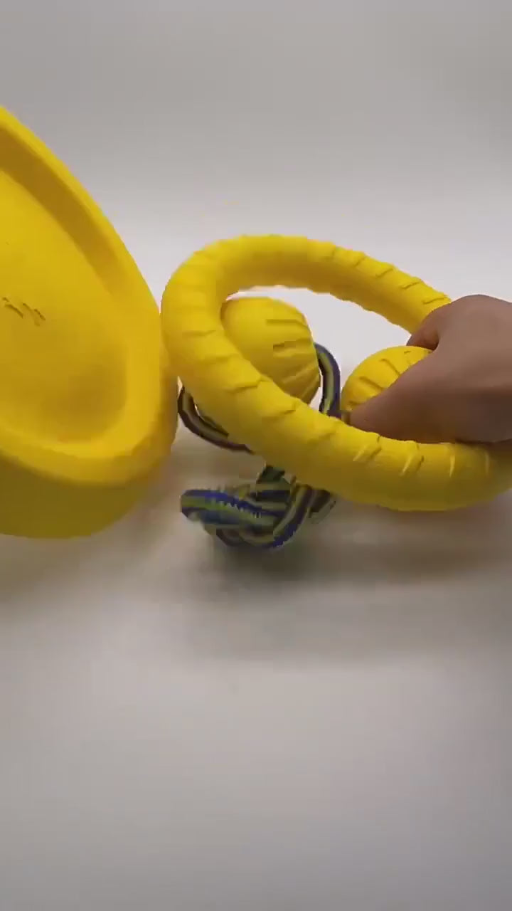 Everyday Fetch Dog Flying Disc