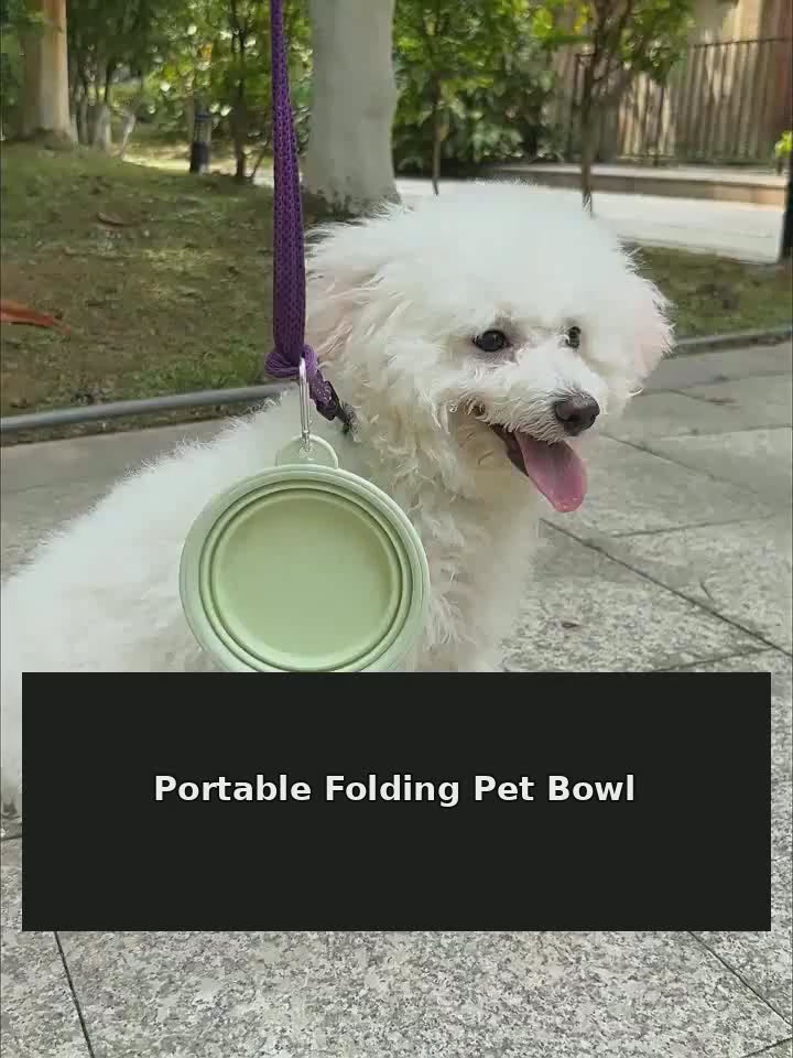 Everyday Outside Collapsible Silicone Dog Bowl