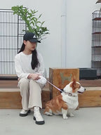 Everyday LED Retractable Dog Leash & Collar